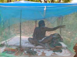 the baba who lives alone in the jungle